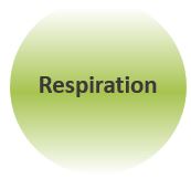 Sophrologie-Respiration